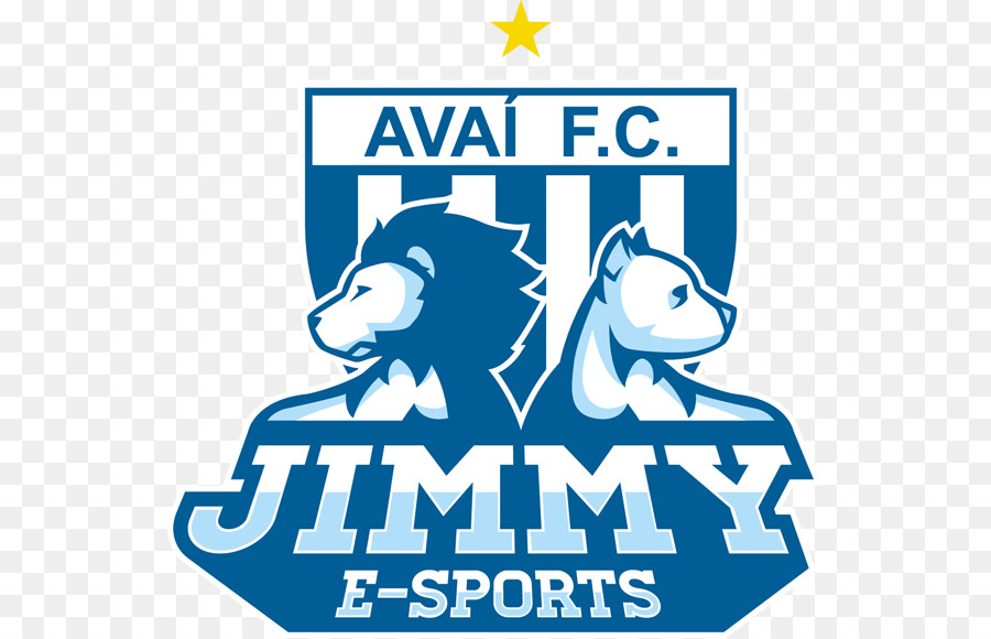 Avaí Fc，Efsane La Brasileiro De Lig PNG