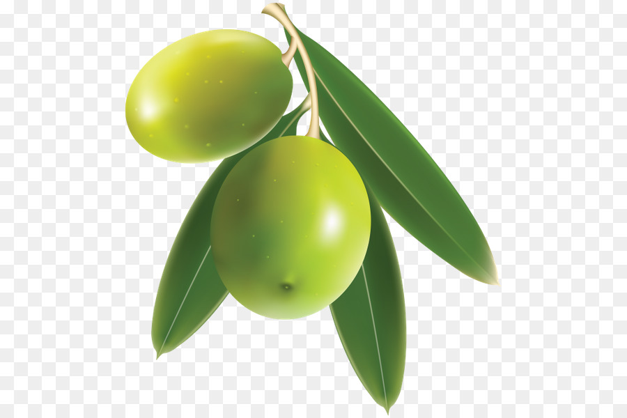 Zeytin，Meyve PNG