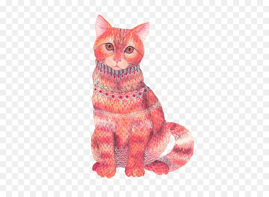 Resimli Kedi，Kedi PNG