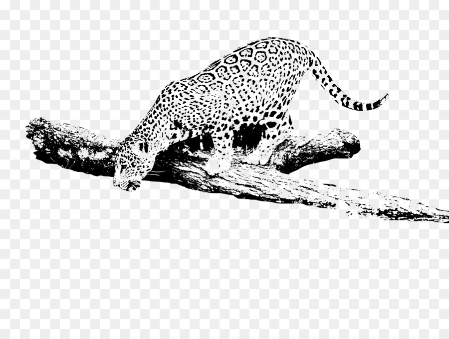 Leopar，Jaguar Arabalar PNG