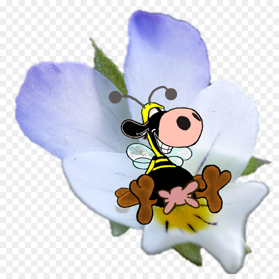 Organik çiftlik Wild Pansy，Wyssa Sebze PNG