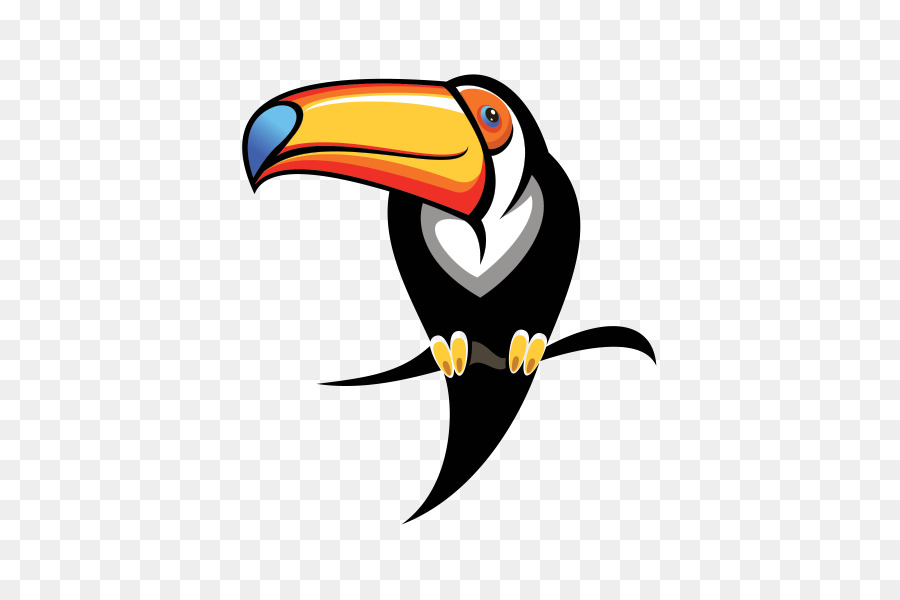 Penguen，Kuş PNG