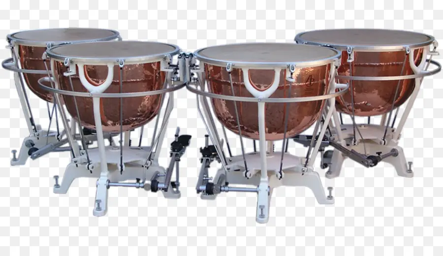 Timpani，Davul PNG