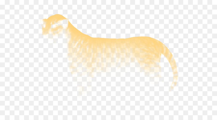 Köpekgillerin，Kedi PNG