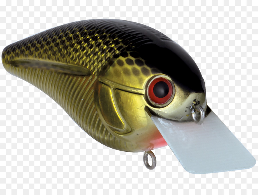 Balık，Livingston Cezbeder PNG