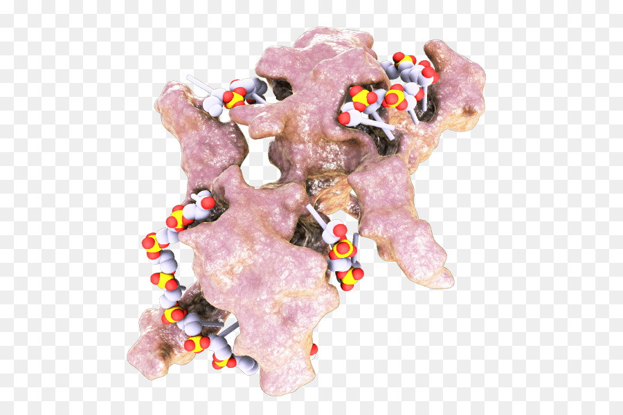 Protein，Dnabinding Protein PNG