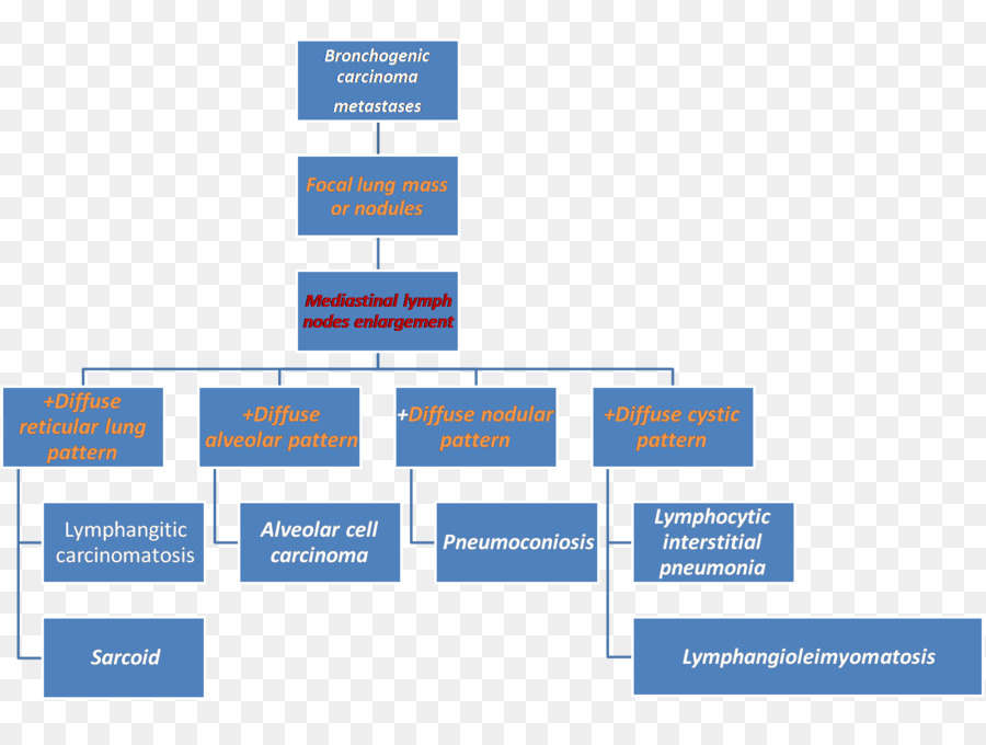 proje yönetimi organizasyon şeması