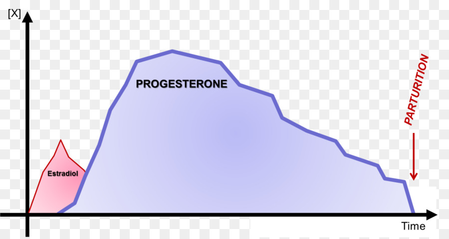 Estradiol，Progesteron PNG