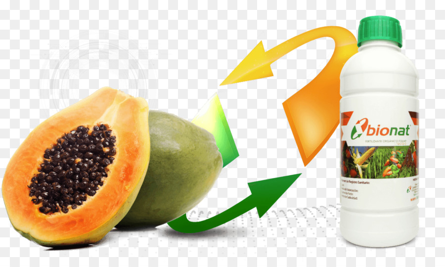 Papaya Ve Gübre，Papaya PNG