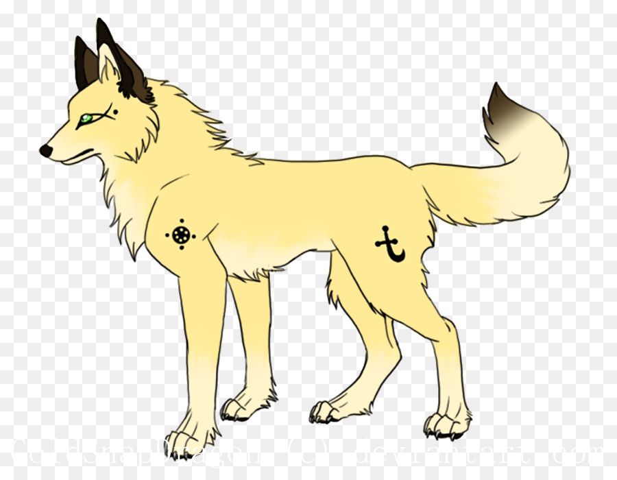 Köpek ırkı，Köpek PNG