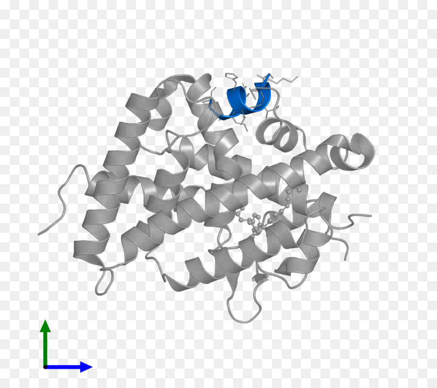 Insan Davranışı，Teknoloji PNG