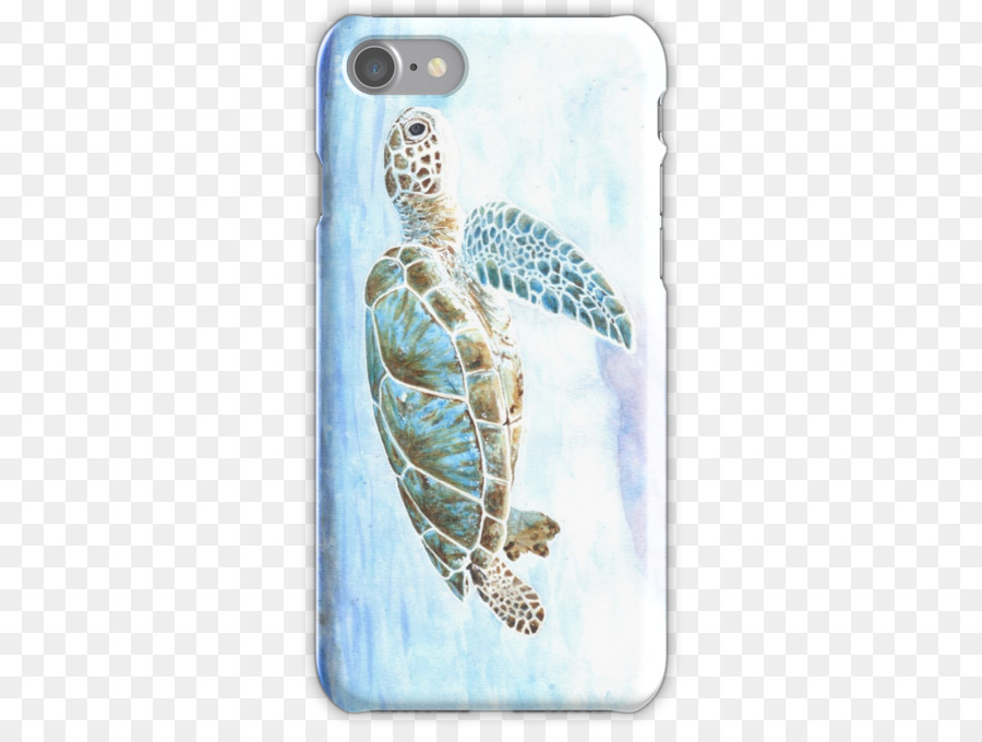 Deniz Kaplumbağası，6 Iphone PNG