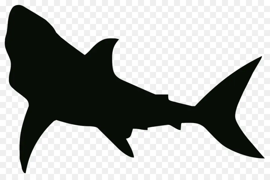 Köpekbalığı，Şablon PNG