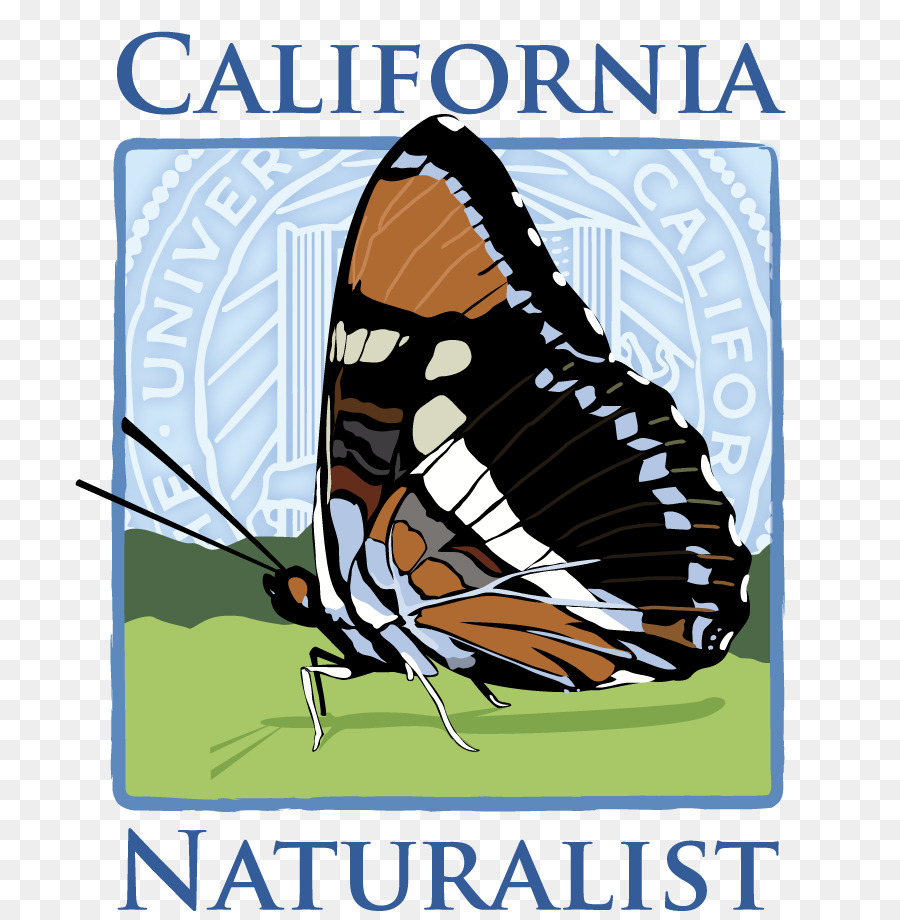 Monarch Kelebek，California Natüralist Yerel Edition PNG
