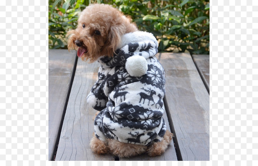 Cockapoo，Hoodie PNG