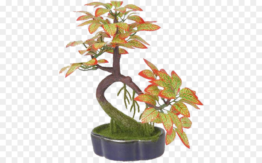 Bonsai Ağacı，Minyatür PNG