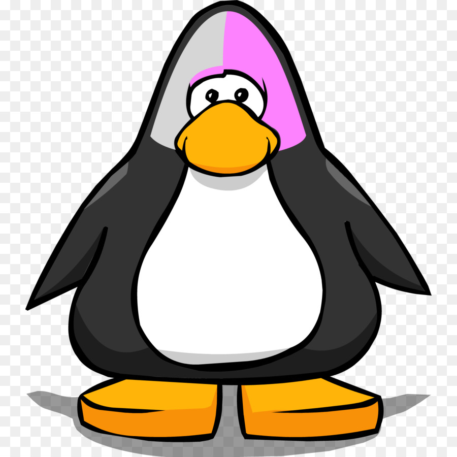 Penguen Ve Maymun，Hayvan PNG