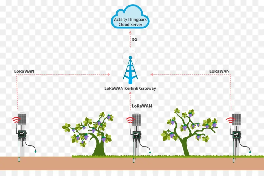 Lorawan Ağı，Geçit PNG