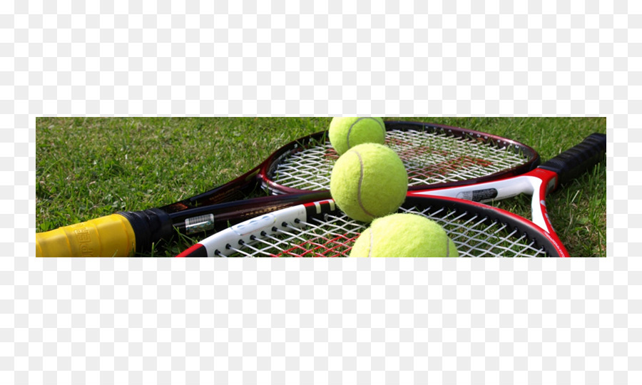 Tenis，Wimbledon Şampiyonası PNG