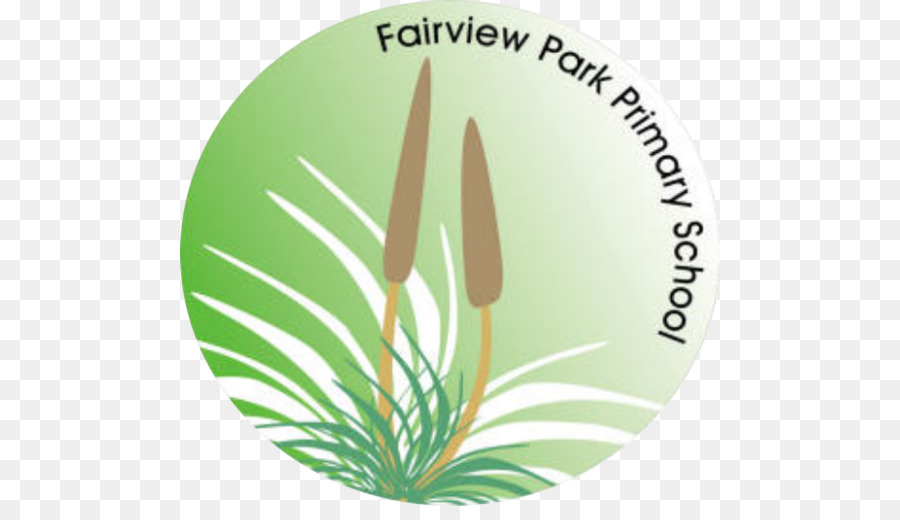 Fairview Park İlköğretim Okulu，Okul PNG