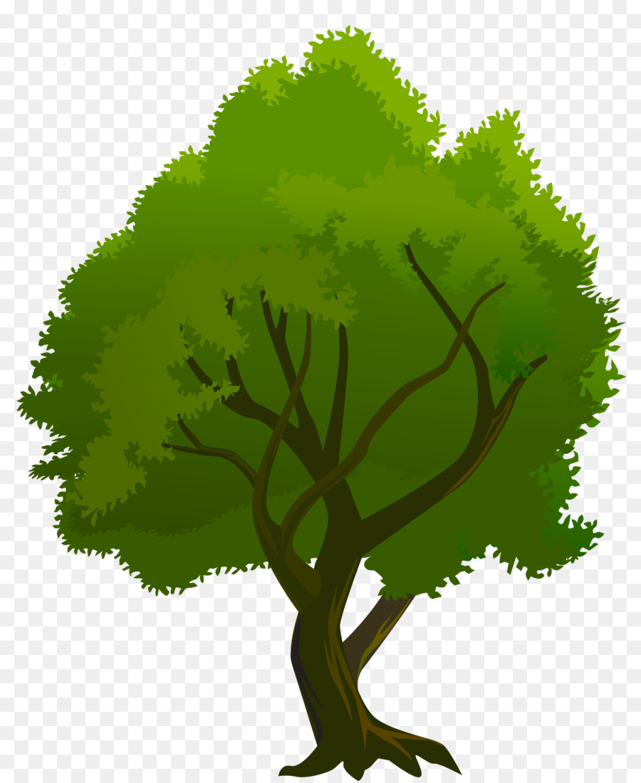 Ağaç，Royaltyfree PNG