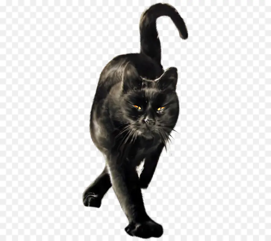 Kara Kedi，Kedi PNG