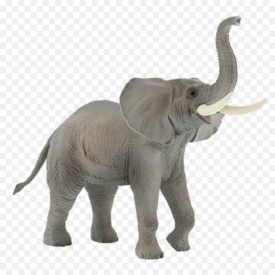 Mamut，Tarih öncesi PNG