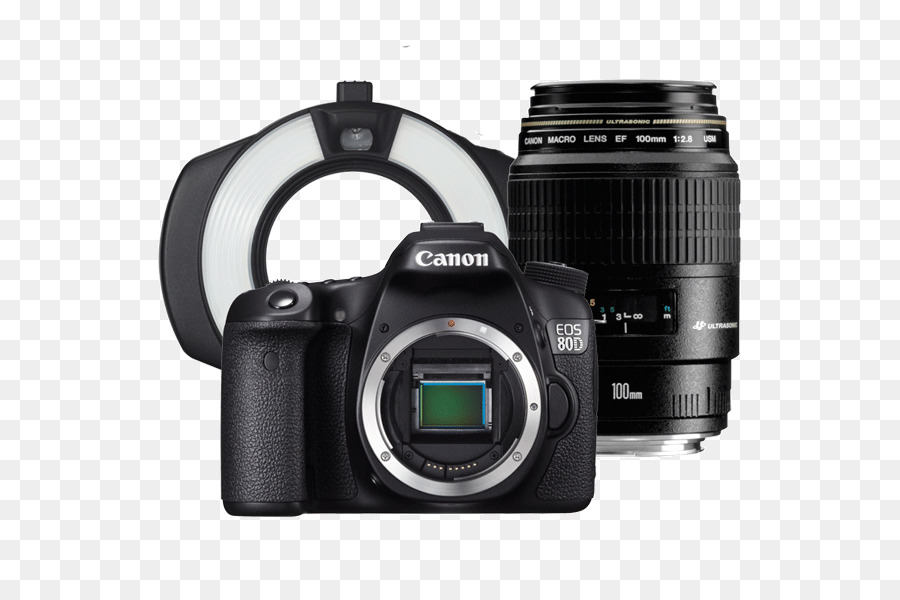 6 D Canon Eos，Canon Eos 77d PNG