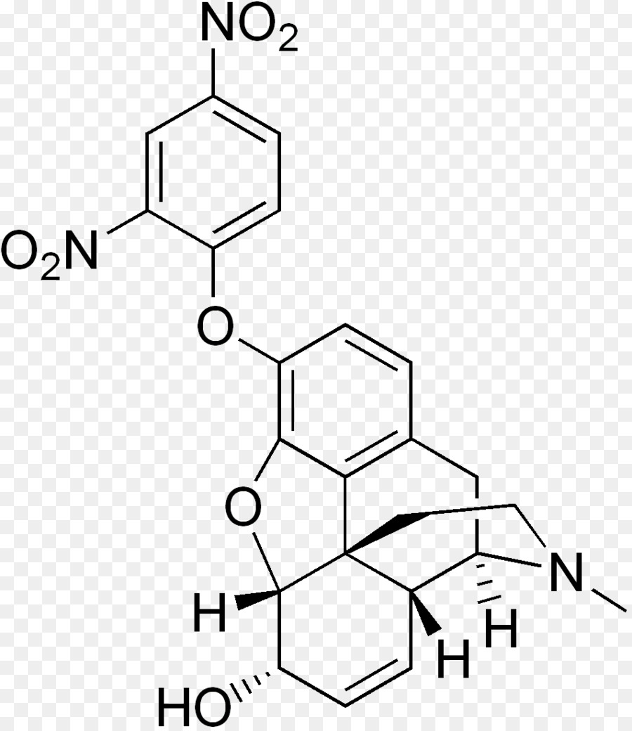 Nphenylacetyllprolylglycine Etil Ester，Besin Takviyesi PNG