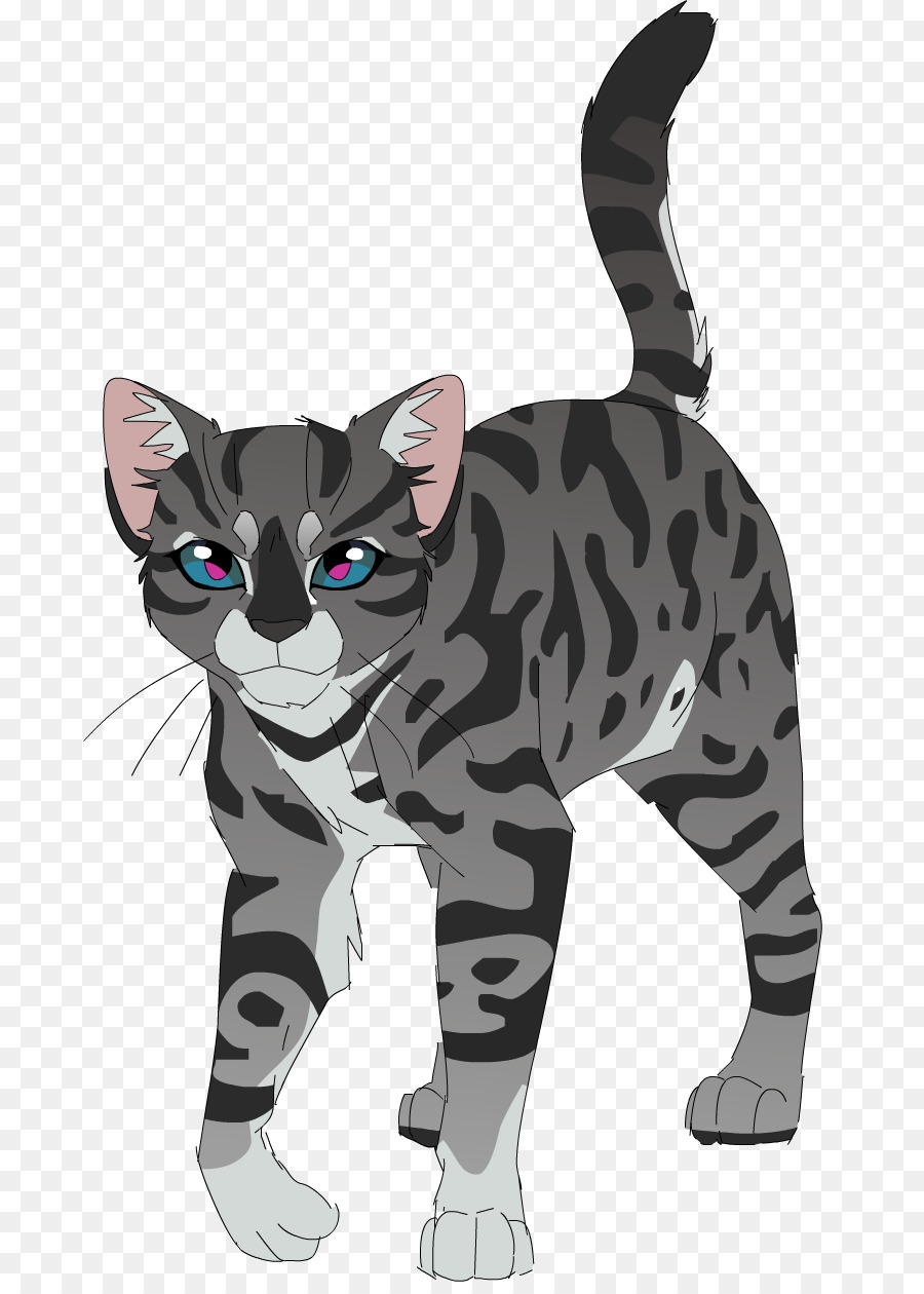 Karikatür Kedi，Hayvan PNG