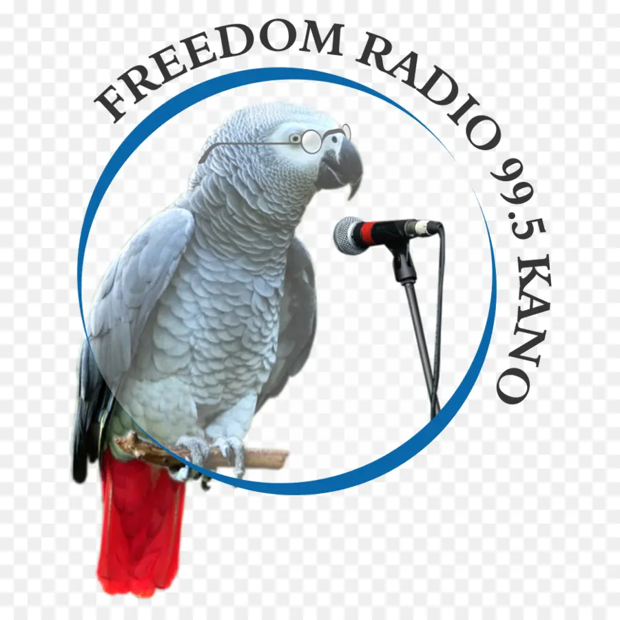 Papağan Logosu，Radyo PNG