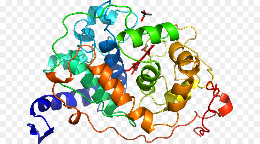 Protein Süper，Gen çoğaltılması PNG