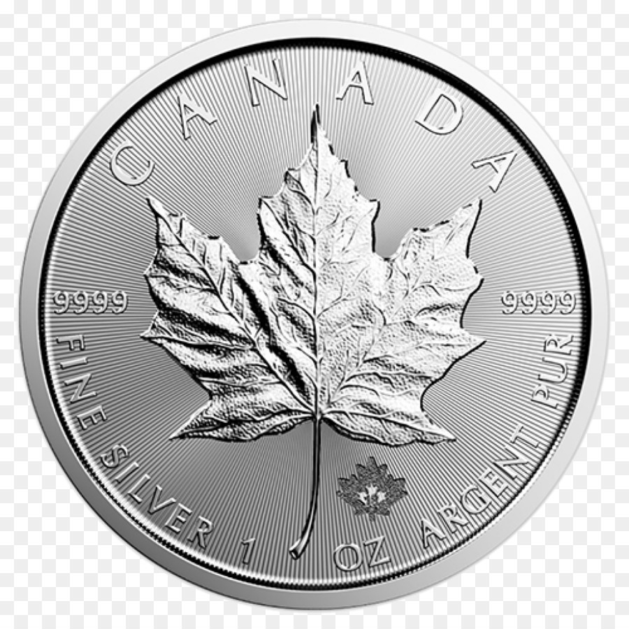 Kanada Gümüş Maple Leaf，Kanada Altın Maple Leaf PNG