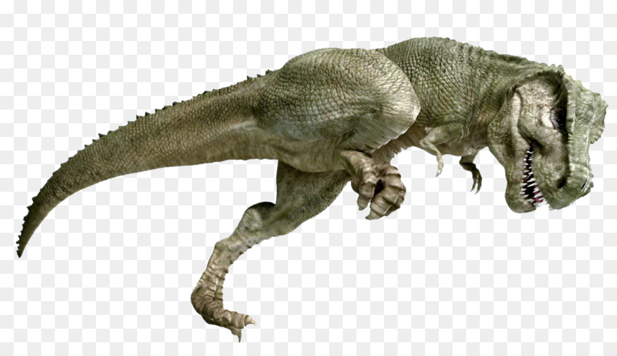 Tyrannosaurus，Velociraptor PNG