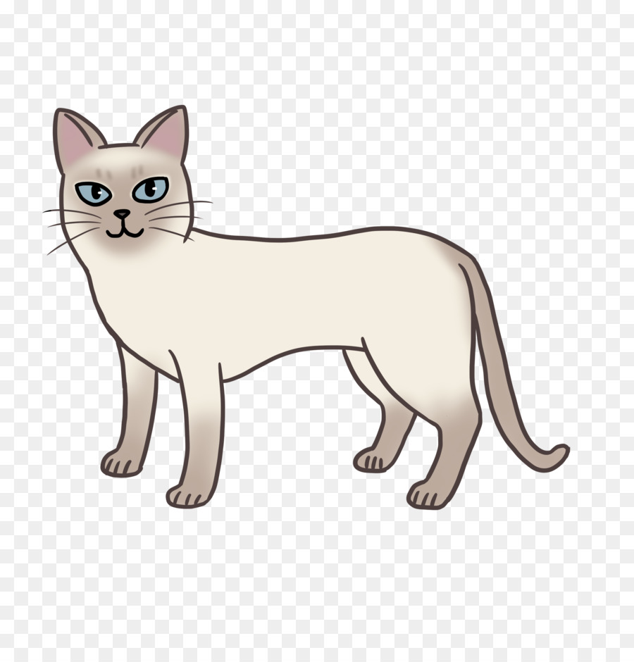 Kedi，Evcil Hayvan PNG