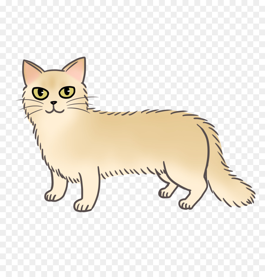 Kedi，Evcil Hayvan PNG