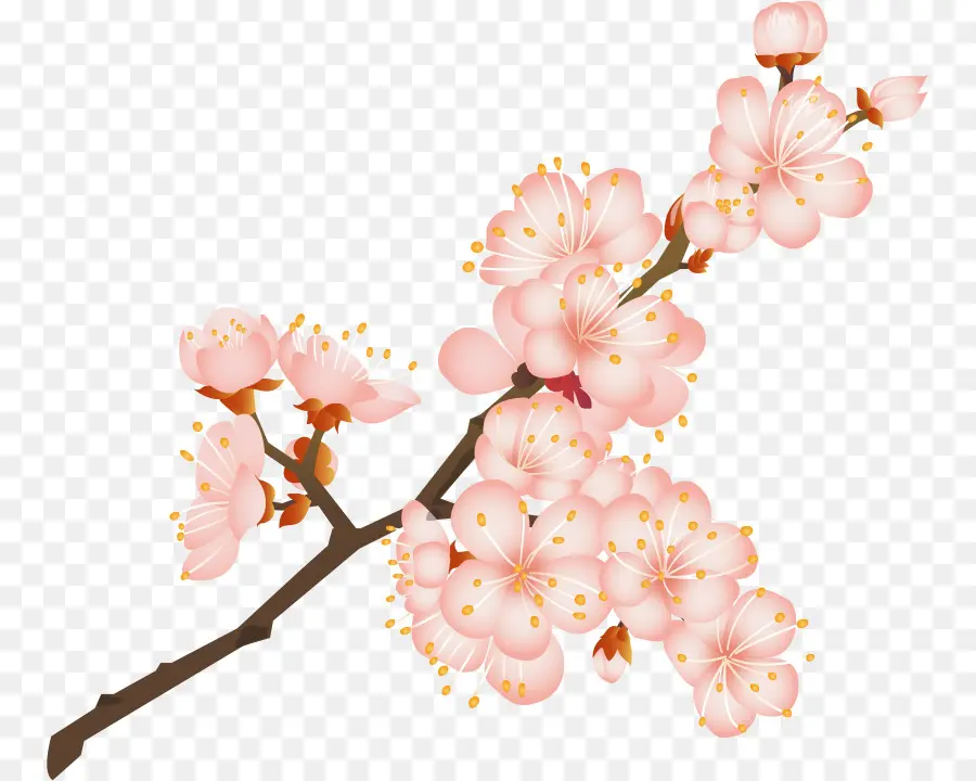 Kiraz çiçeği，Kiyohide İç Hastalıkları Kliniği PNG