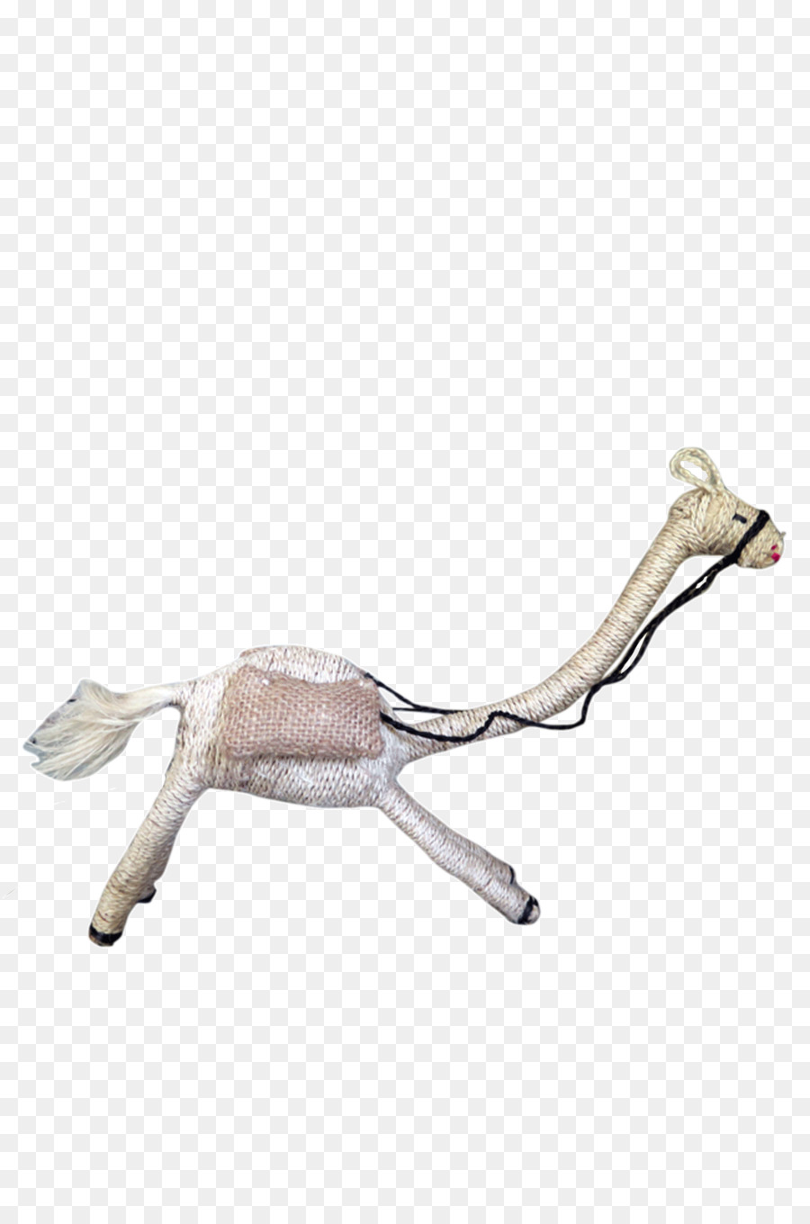 Fauna，Hayvan PNG