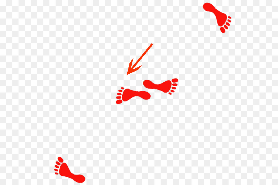 Logo，Ayakkabı PNG