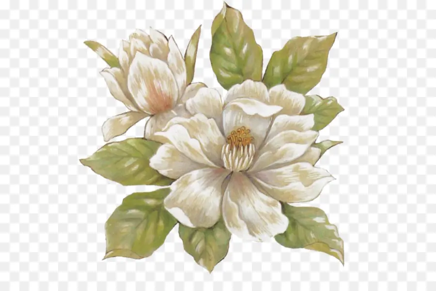 Natürmort，çiçek PNG