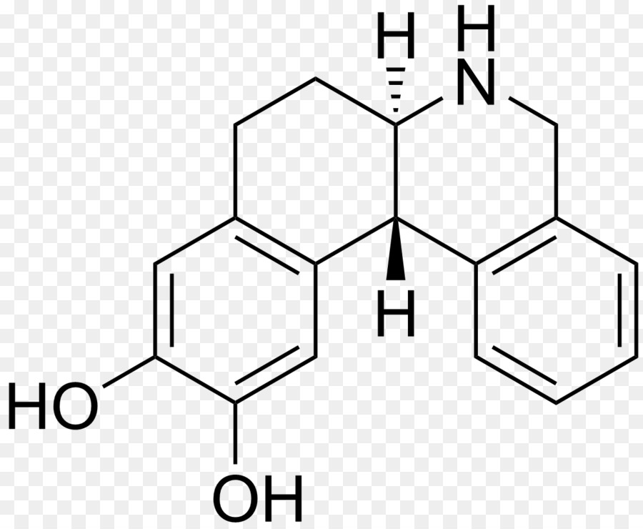Dopamin，Norepinefrin PNG