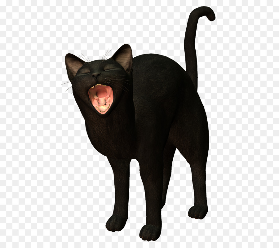 Kara Kedi，Esneme PNG