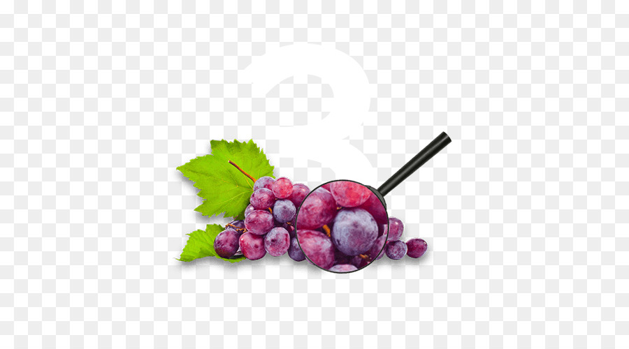 Ortak üzüm Asma，şarap PNG