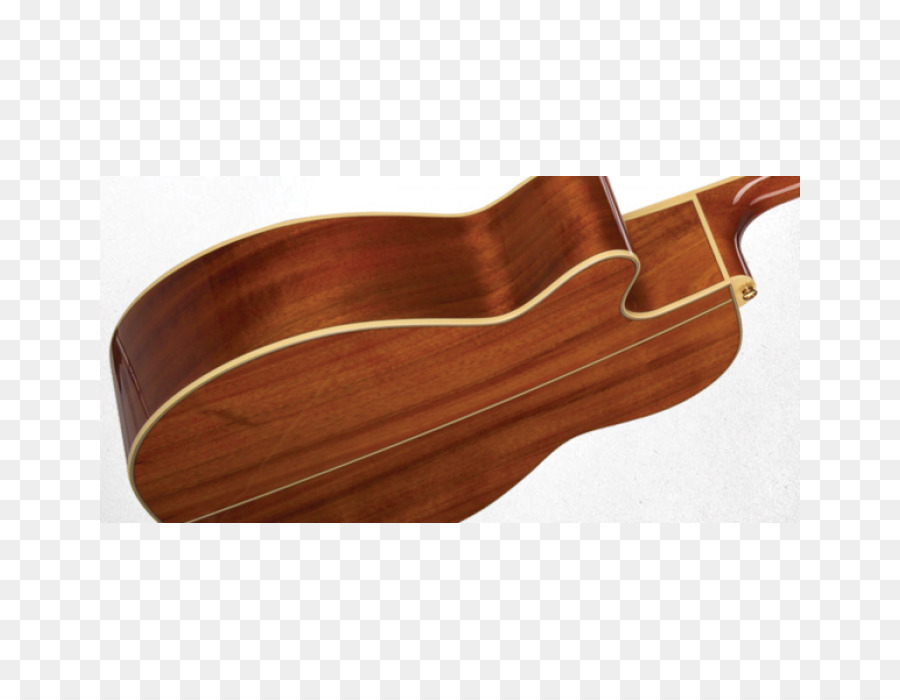 Takamine Gitarlar，Klasik Gitar PNG