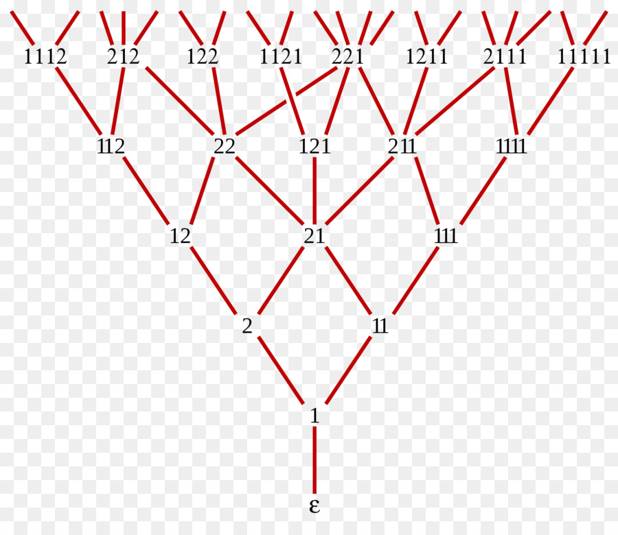 Fibonacci Sayısı，Youngfibonacci Kafes PNG