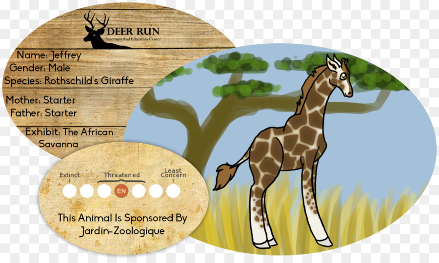 Zürafa，At PNG