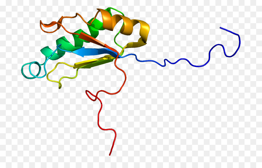 Dna Yapısı，Molekül PNG