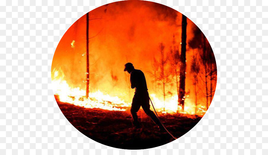 2017 Haziran Portekiz Orman Yangınları，San Nicola Kilisesi PNG