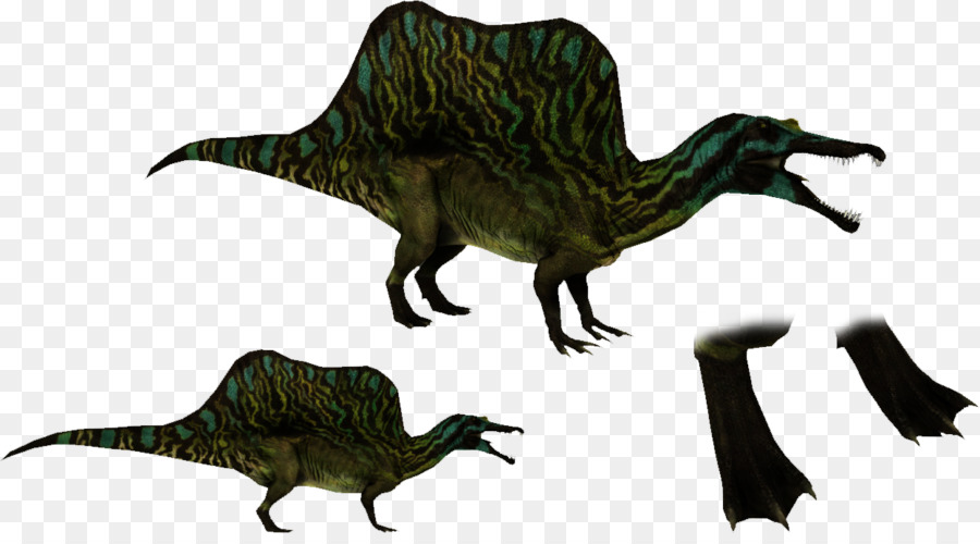 Spinosaurus，Döredizizm PNG