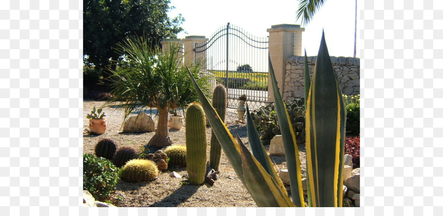 Majorelle Bahçesi，Majorelle Mavi PNG